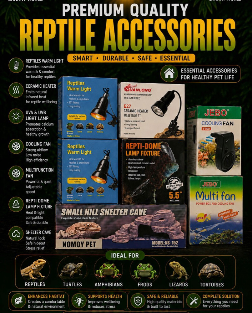 Reptile Accessories - 1