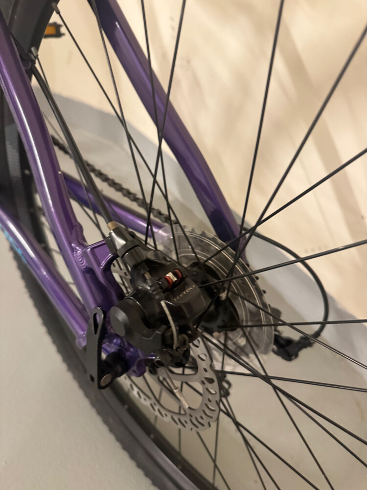 Liv Bliss Mountain Bike (S size) - 4