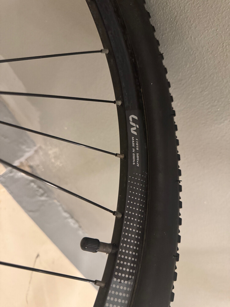 Liv Bliss Mountain Bike (S size) - 3