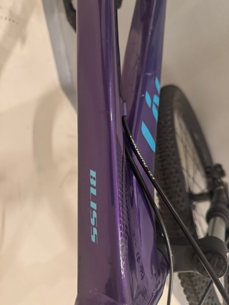 Liv Bliss Mountain Bike (S size) - 7
