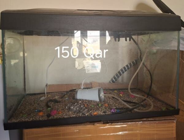 MALM study table and fish Tank - 3