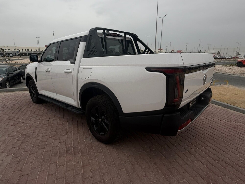 دونج فينج - 7