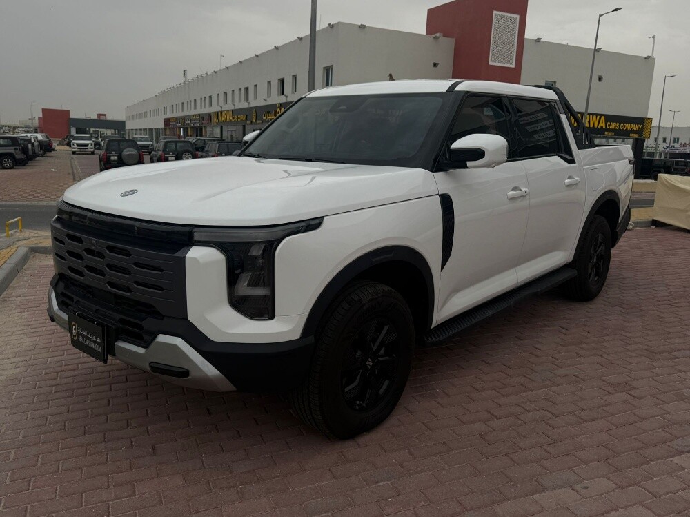 دونج فينج - 1