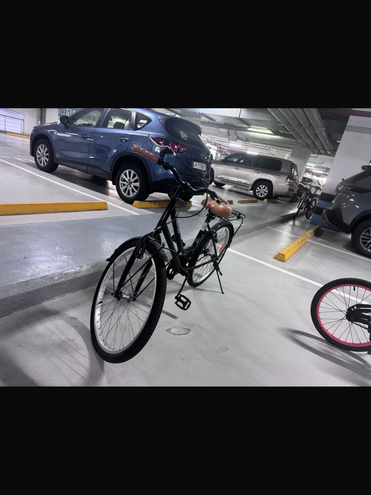 Bicycle for adults - 3