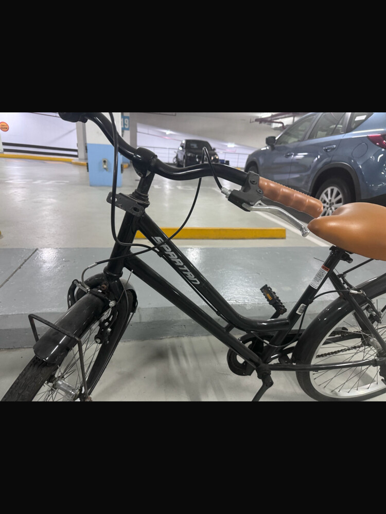 Bicycle for adults - 2