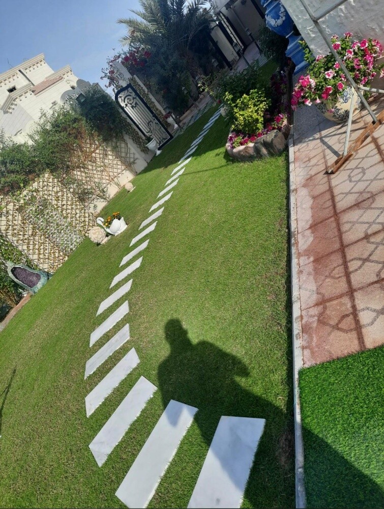 زراعة العشب الطبيعي - 3