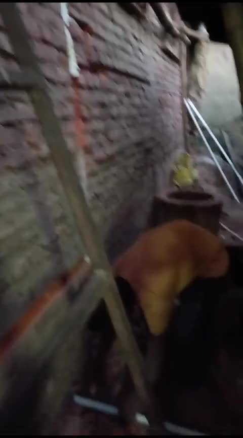 سباق - 1