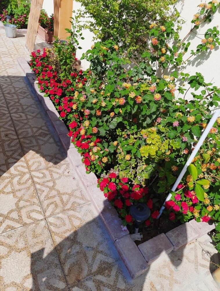 صيانه شهريه ورش المبيدات الزراعية - 2
