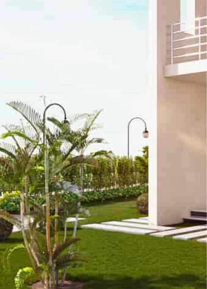 عندك مزرعة - 5