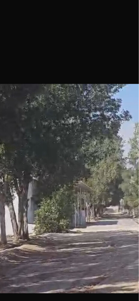 عندك مزرعة - 8