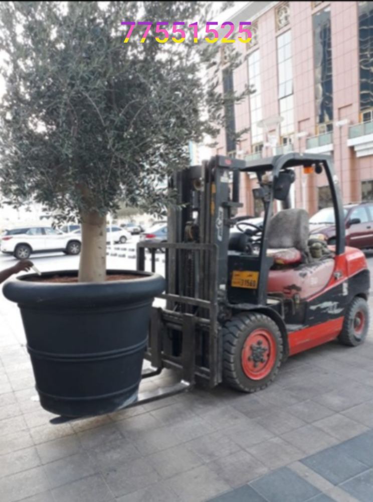 forklift rent 77551525 - 8