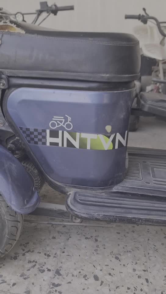 electric bike 3 tires - 9