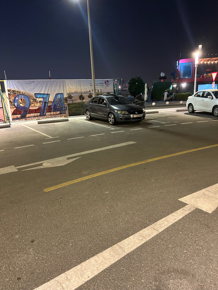 سيارة باسات - 7