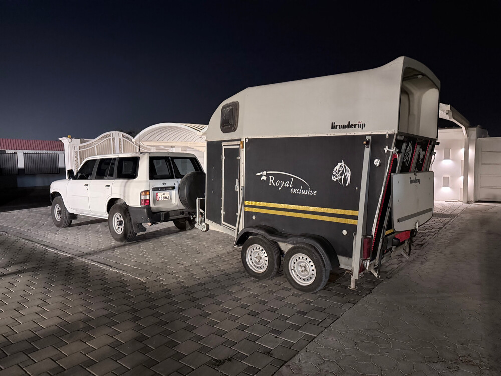 horse transport - 1