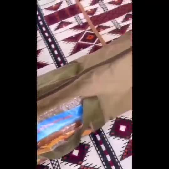 سناح رواق مع مظله الرحلات المطور - 5