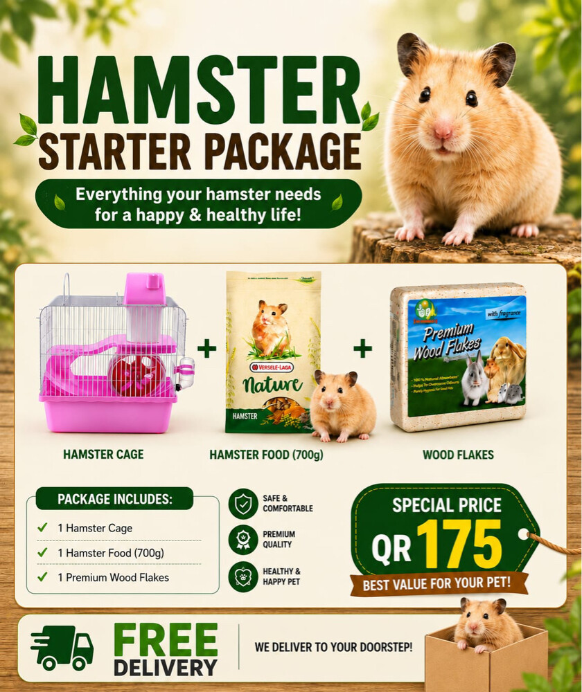 Hamster - 1