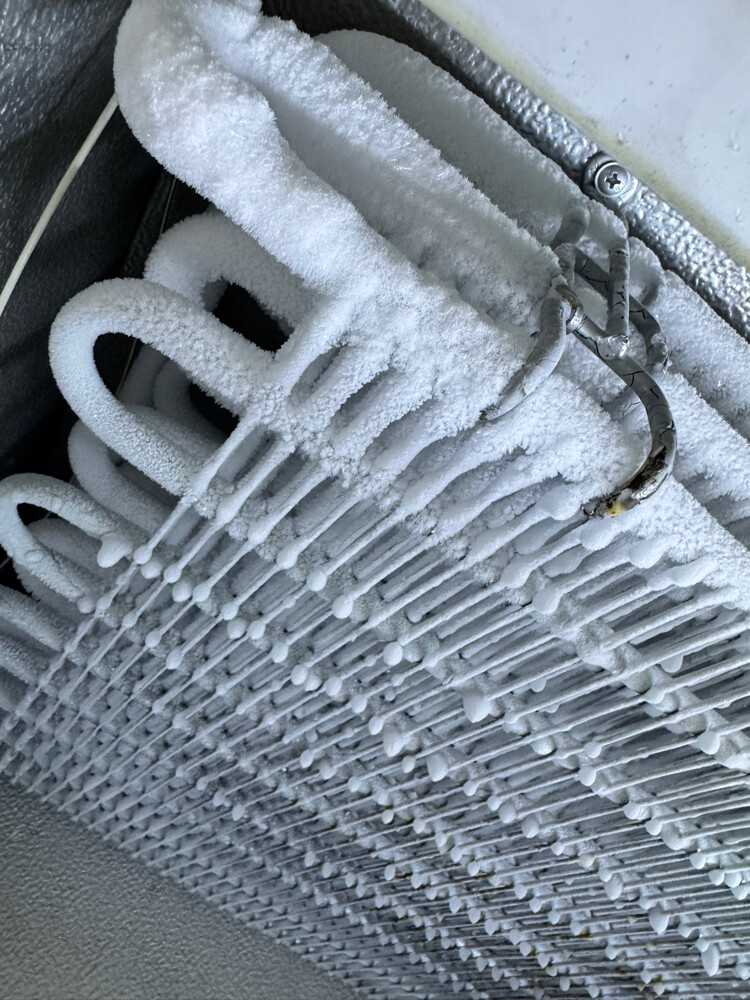 Freezer - 2