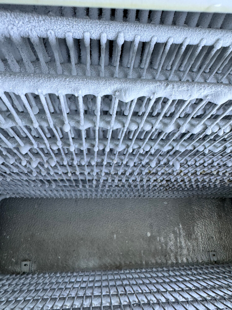 Freezer - 4