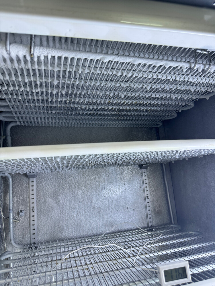 Freezer - 3