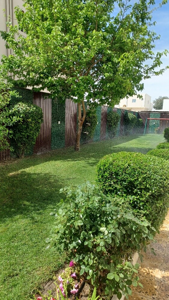 تنظيف وترتيب وتنسيق الحدائق - 9