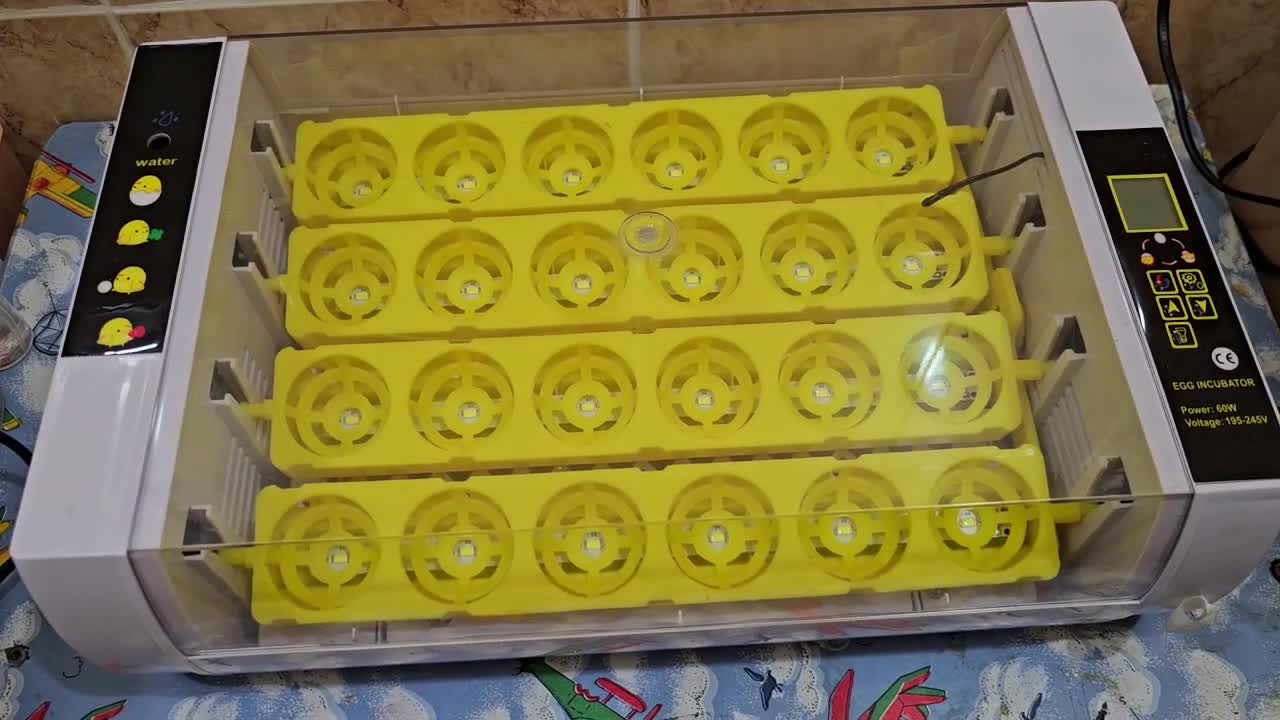 فقاسة جديدة اتوماتك ٢٤ بيضه - 3
