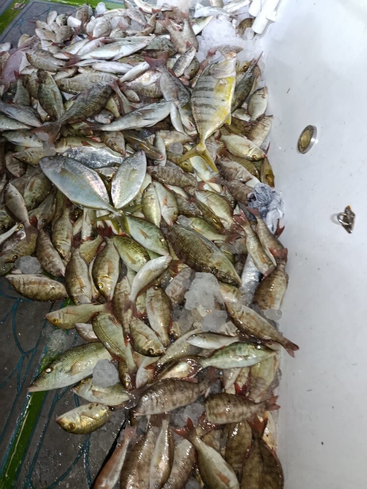 fishing trip - 6