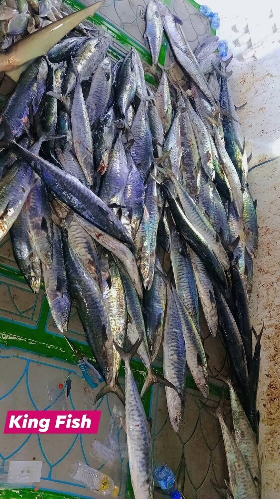 fishing trip - 5