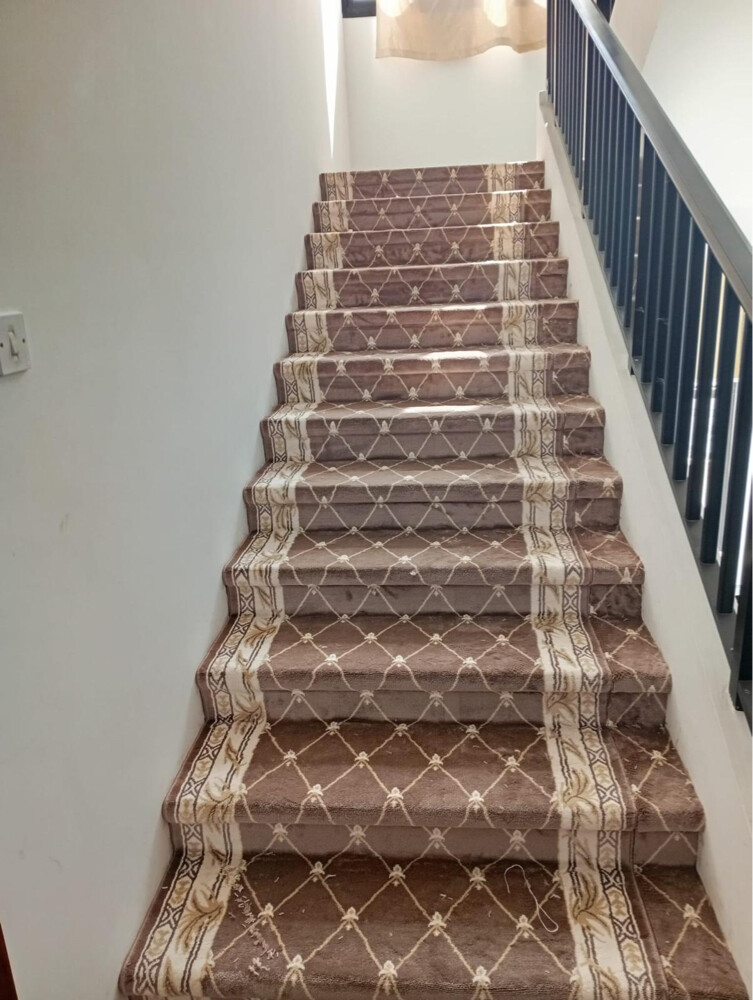 Premium Rugs & Carpets - 3