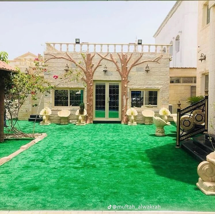 Premium Rugs & Carpets - 6
