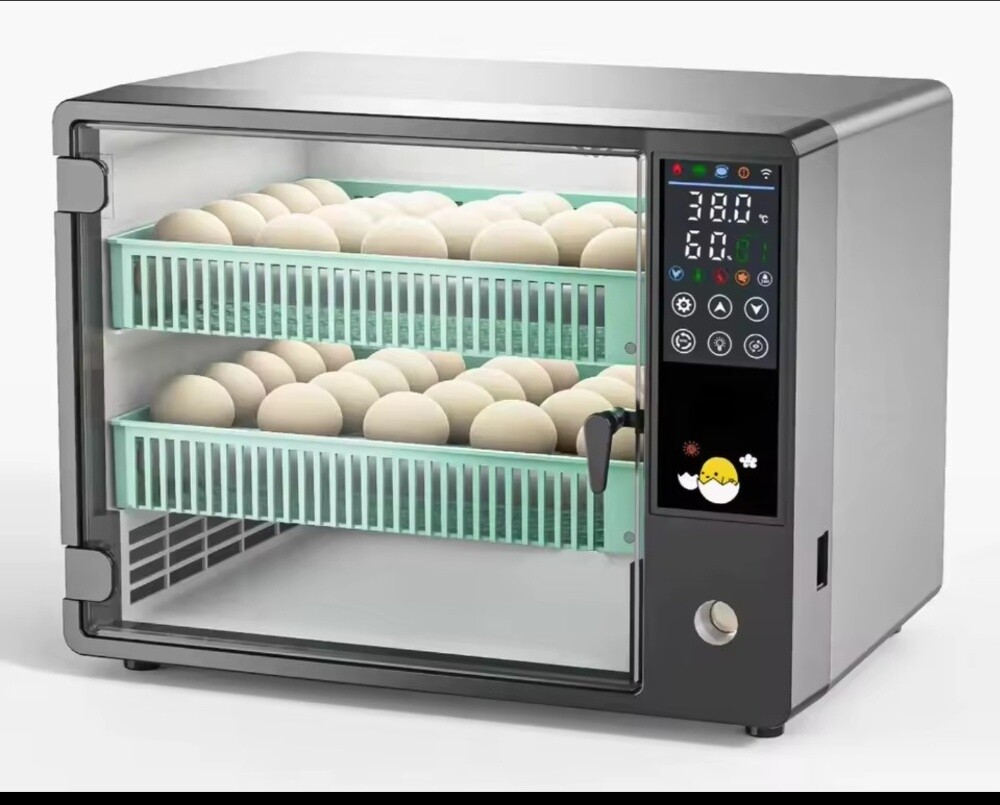 incubator high quality 24 eggs - 3
