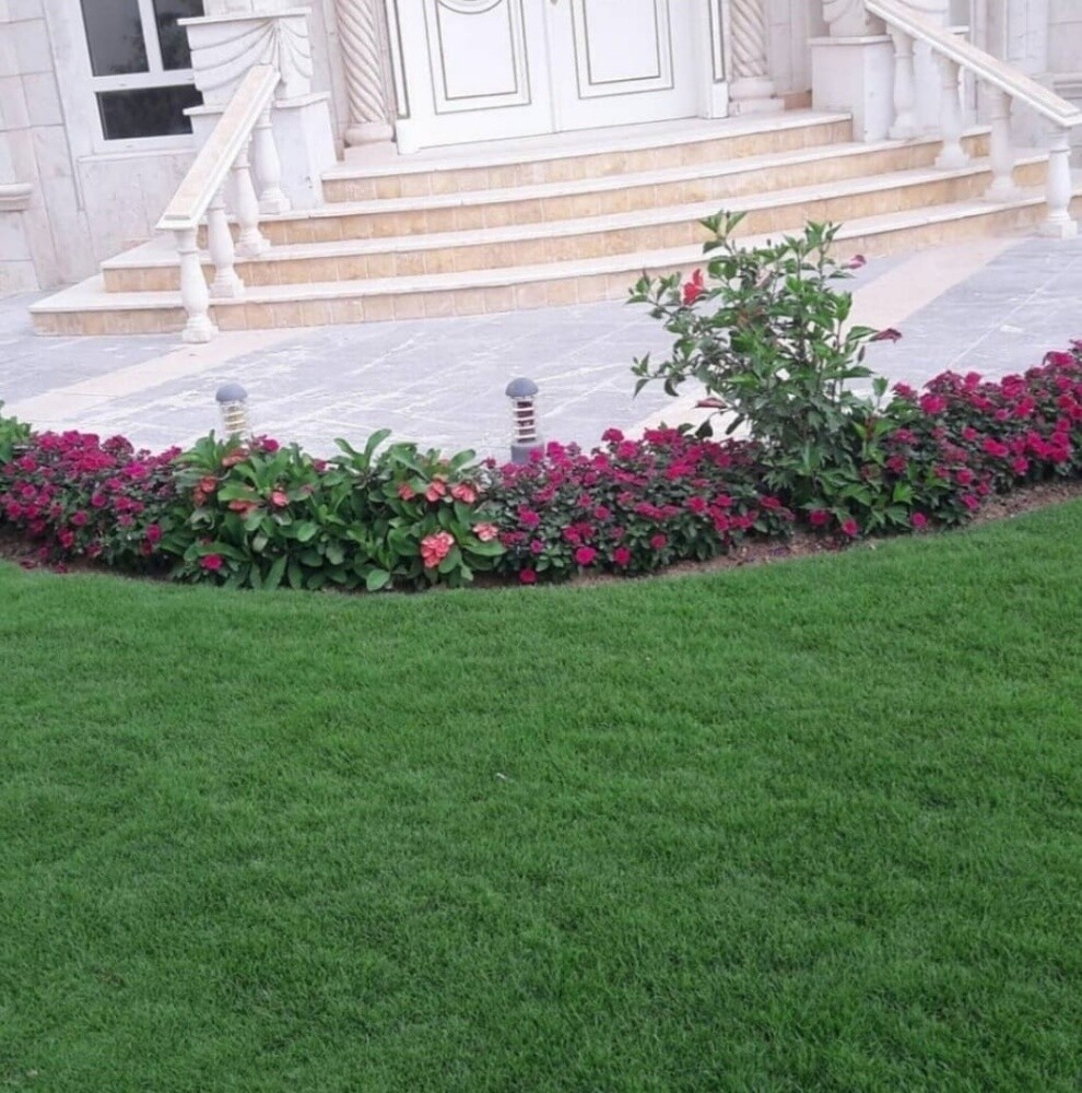 نقوم بتوريد وزراعة العشب الأخضر - 5