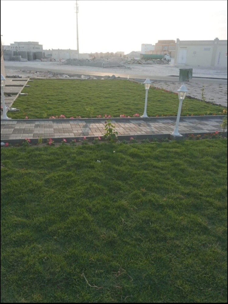 نقوم بتوريد وزراعة العشب الأخضر - 1