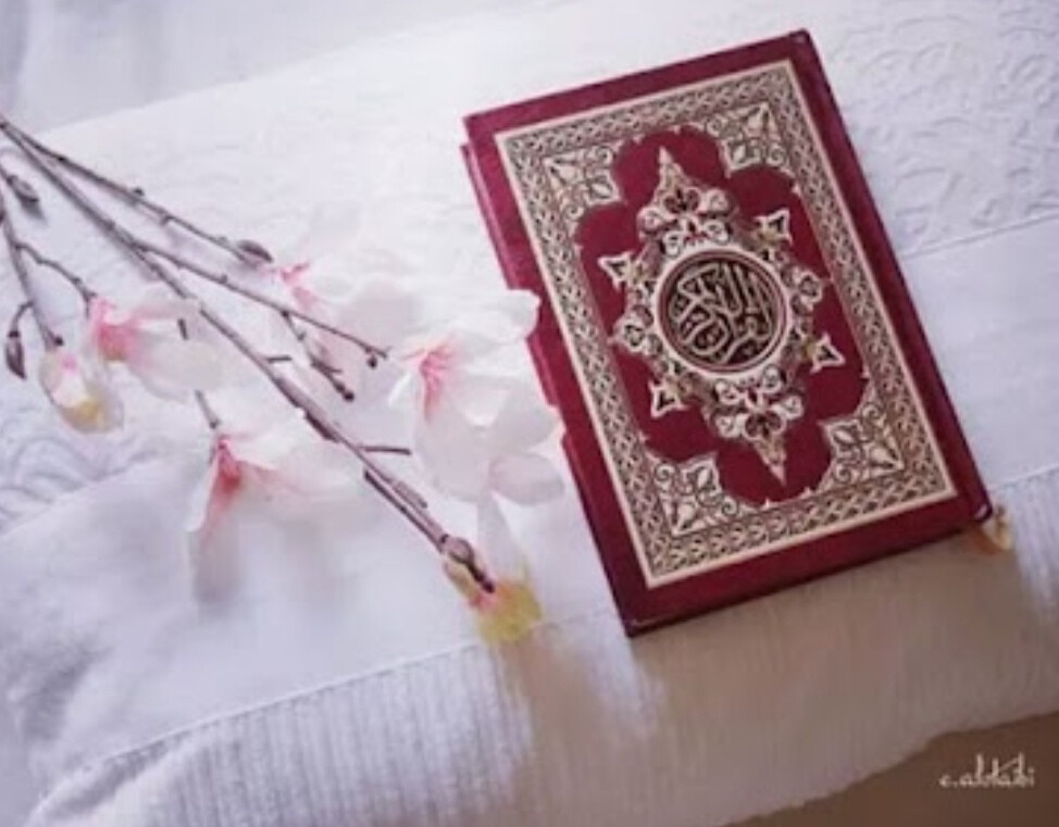 معلمه  - 1