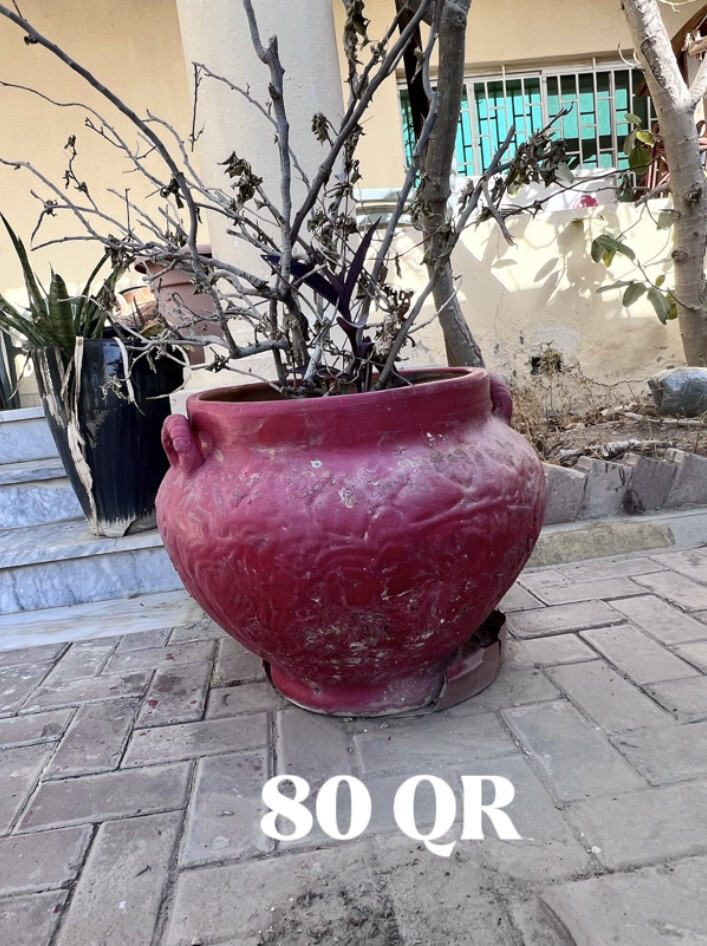 أصيص زرع فخار و سراميك وخشب - 6