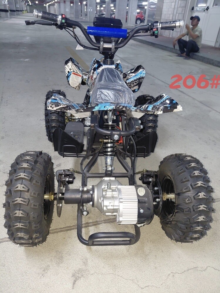 buggy electric atv Flushing - 13