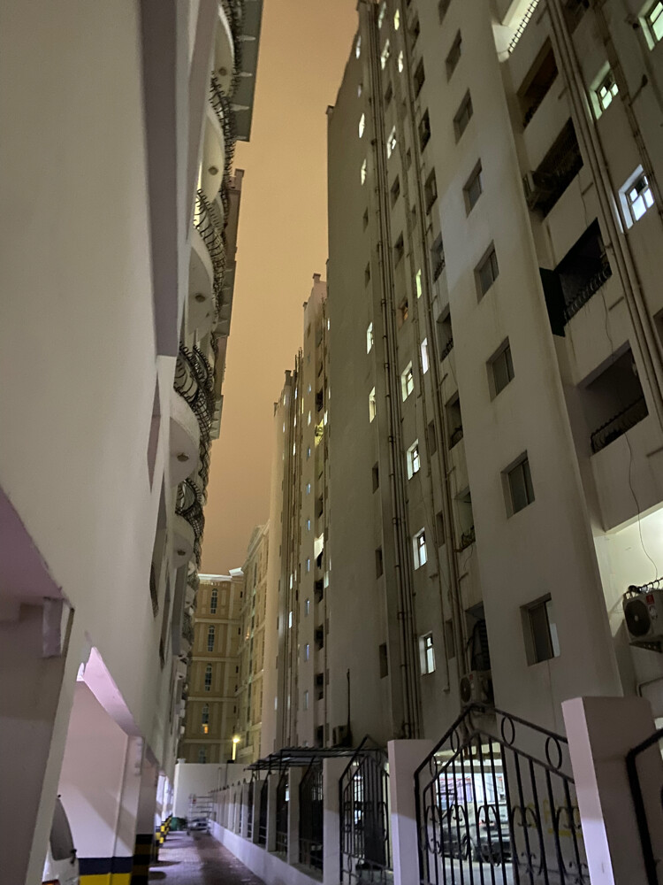 عمر ريان - 1