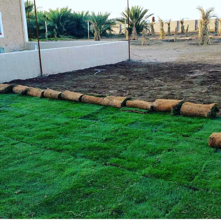 زراعة الحدائق وتوريد الحشيش - 1