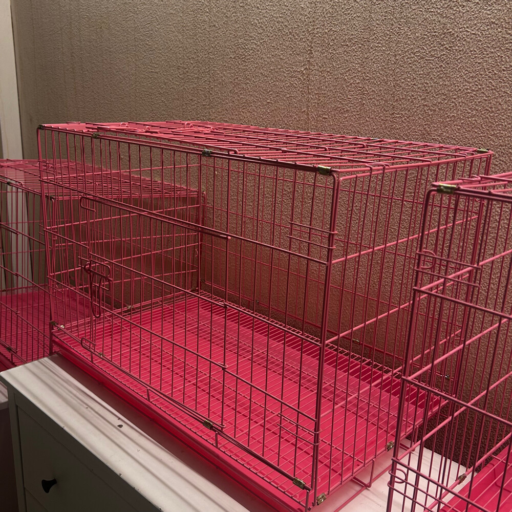 Cat Cage - 2