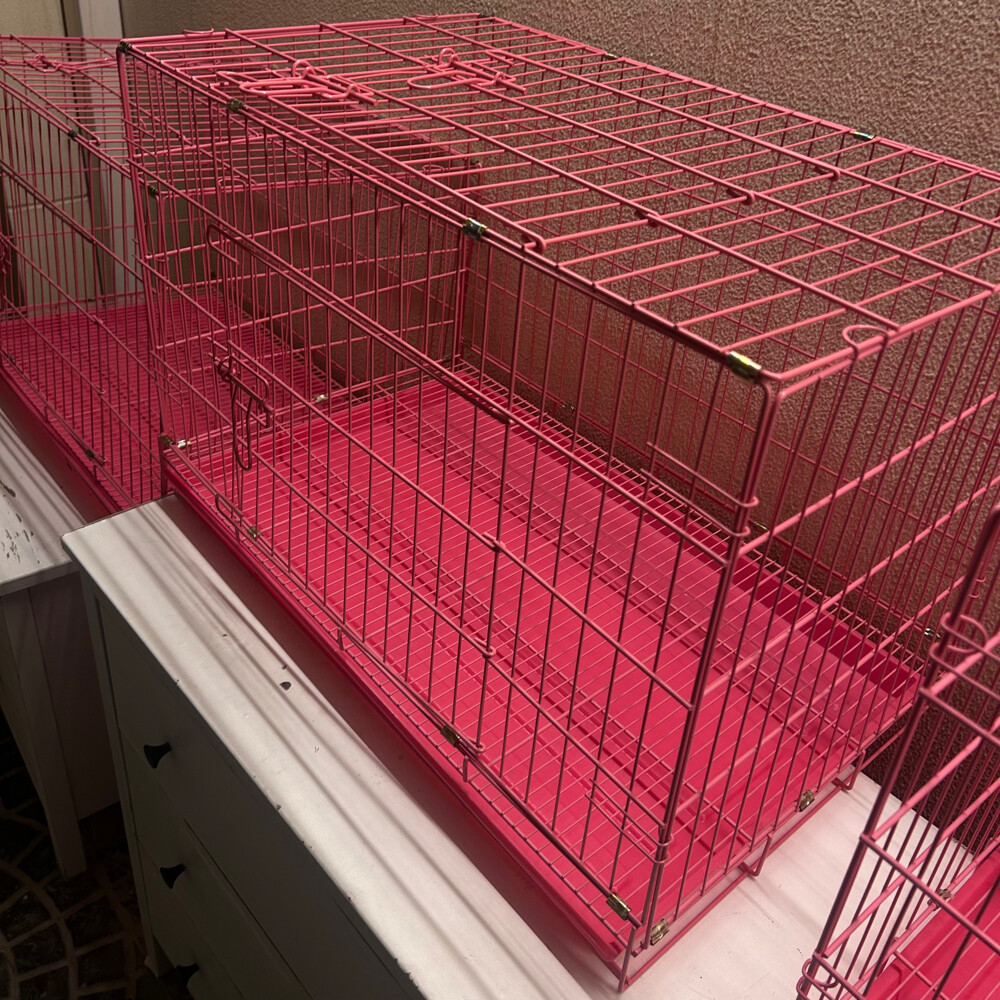 Cat Cage - 1