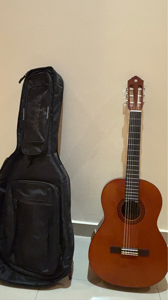 Guitar - 1