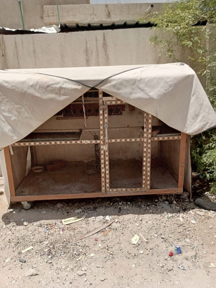 bird cage - 1