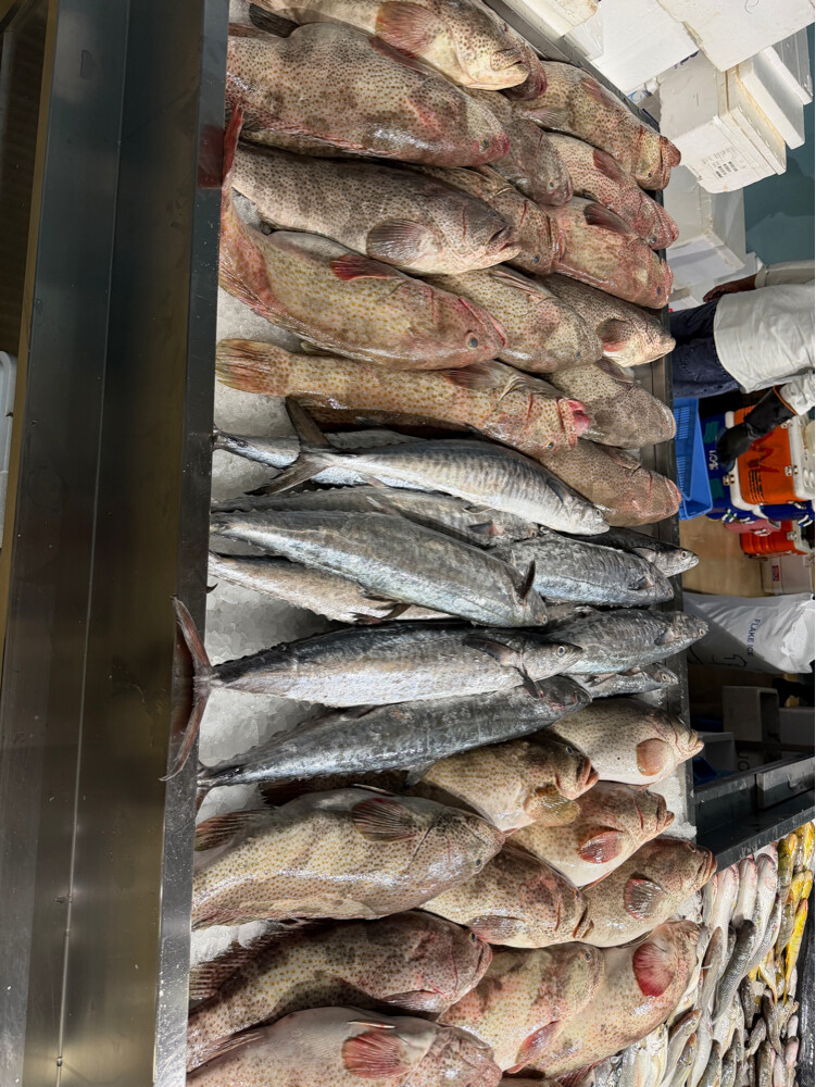 samak - 5