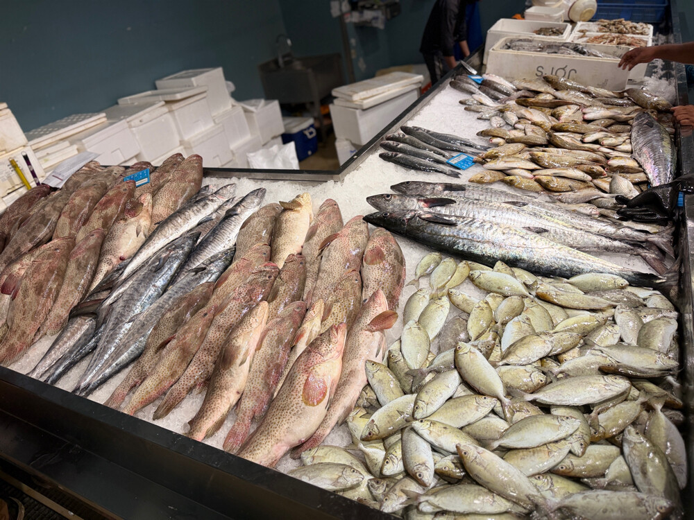 samak - 3