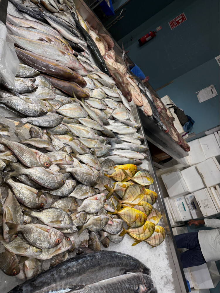 samak - 1