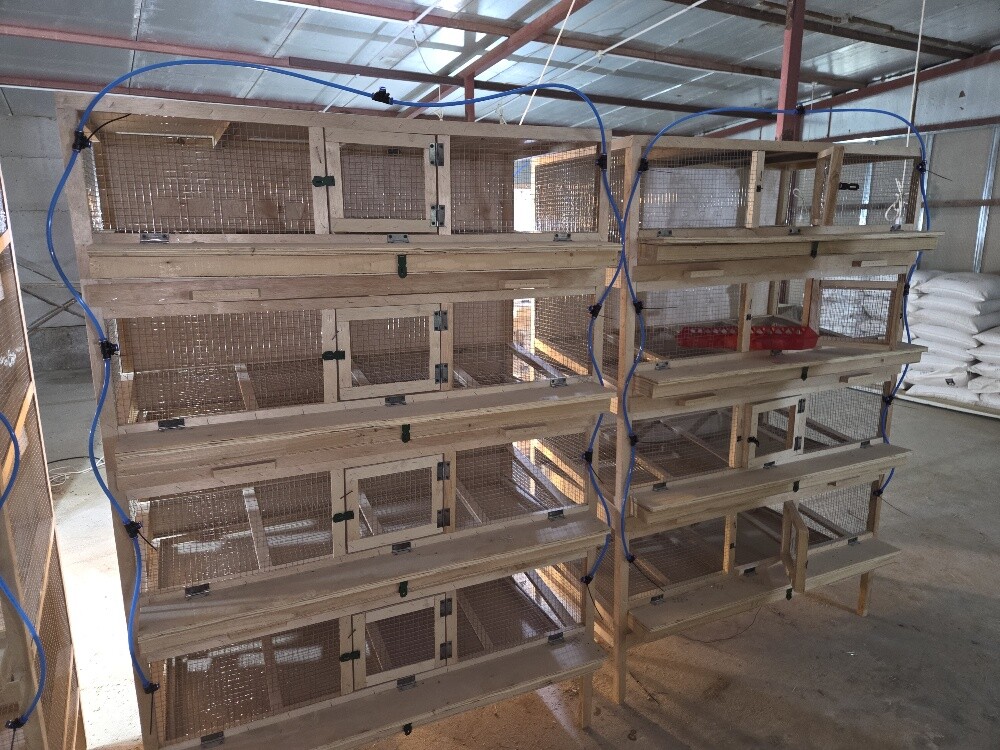 quail breeder cages - 2