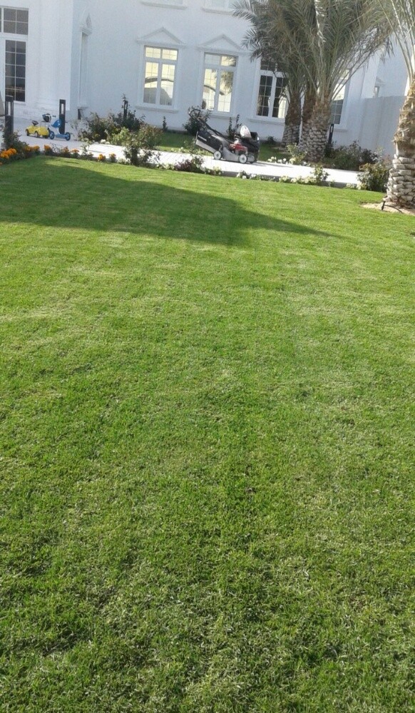 ترتيب وتنسيق الحدائق - 12