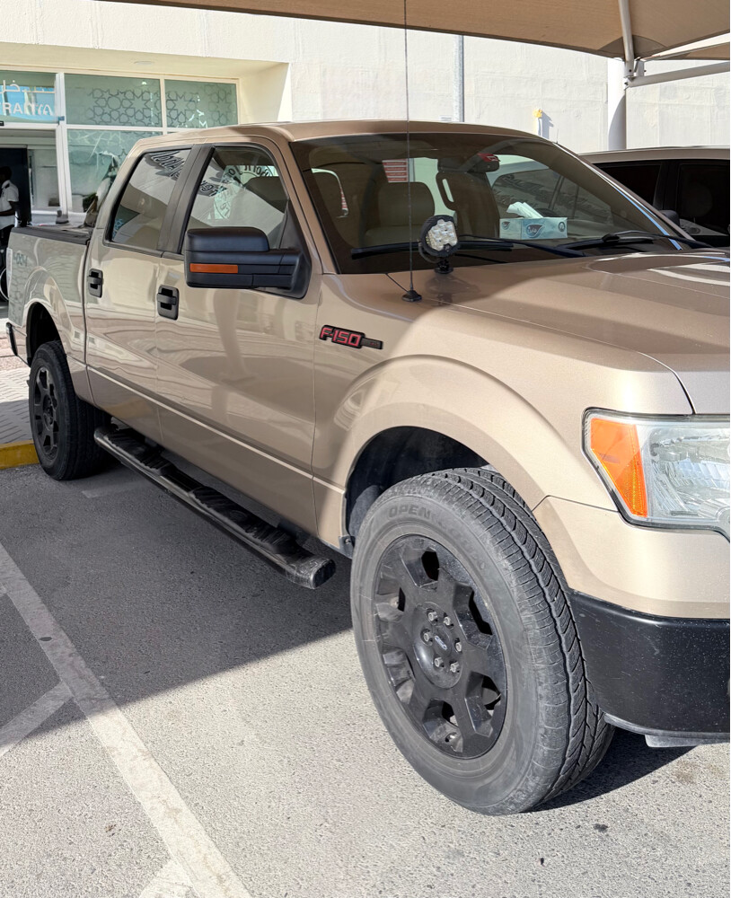 Ford 150 2012 - 4