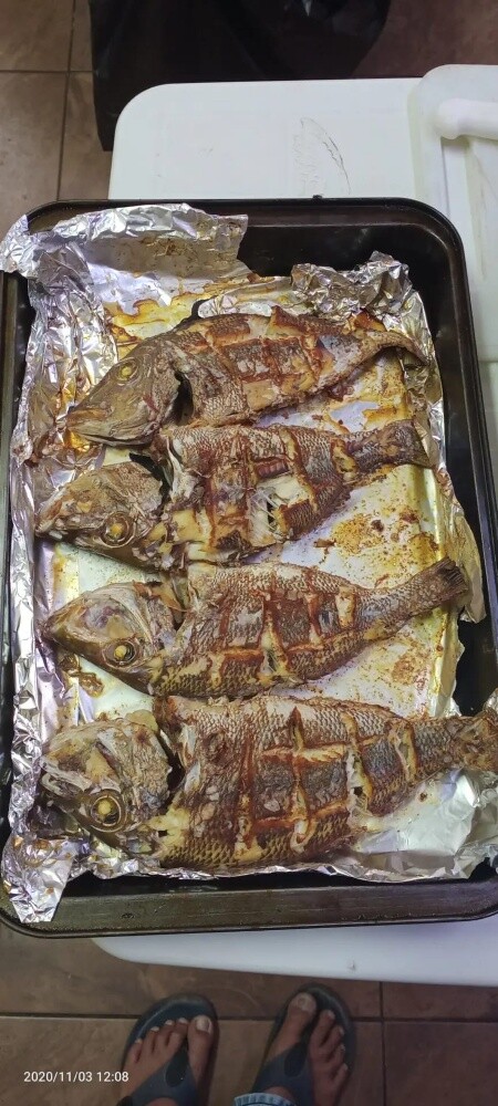 دريوليه وطباخين ومقهوين وخادمات - 17