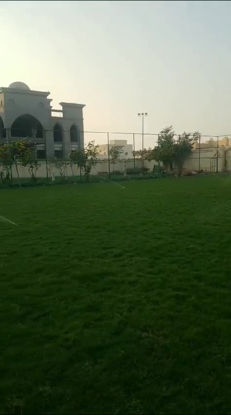 أجود أنواع العشب الطبيعي - 1