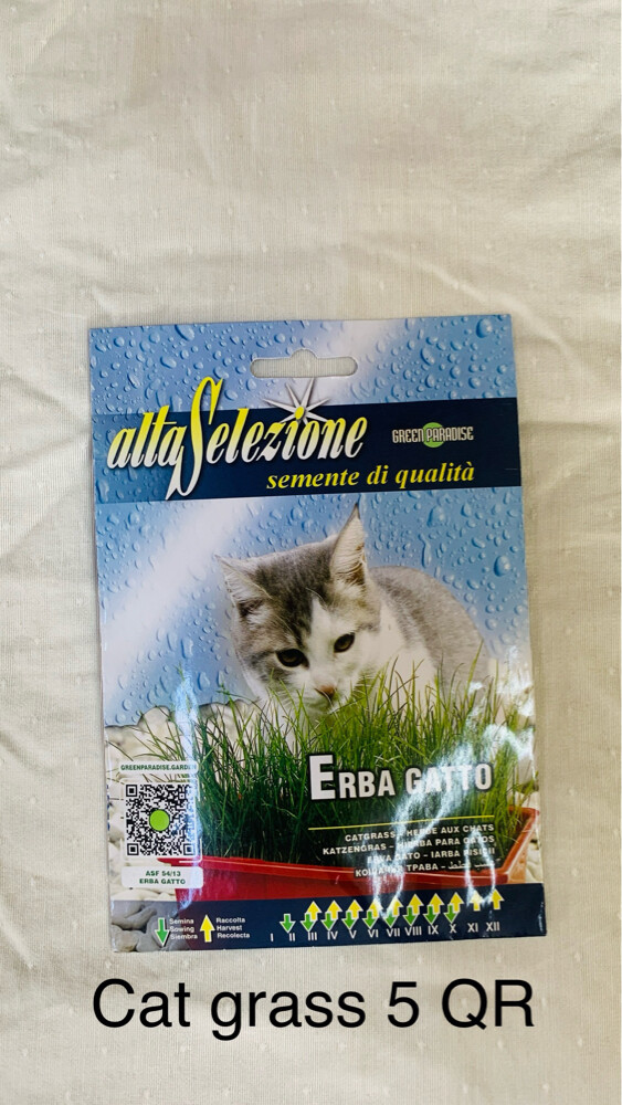 Cat Accessories - 17